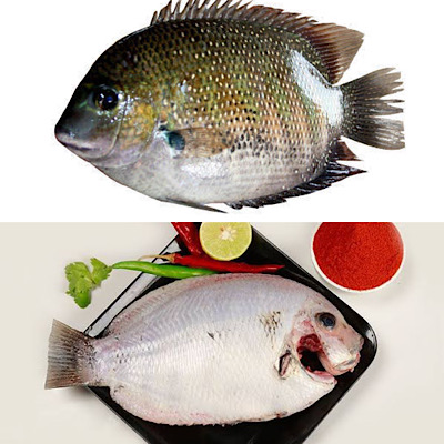 Karimeen / Pearl Spot  (4 -5 fishes) - Whole Cleaned 300g - 320 g net weight