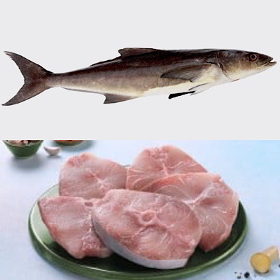 Large Motha / Cobia /Black King fish Steaks without Skin 500g Net weight