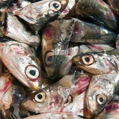 Fish Head for pets (Sardine & Anchovy) 250g pack