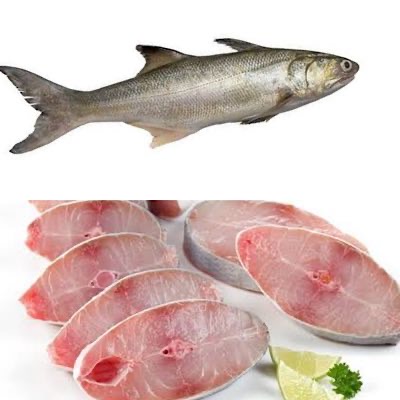Indian Salmon fry cut/ Steak / Ravas  500g Net weight -4kg Size fish