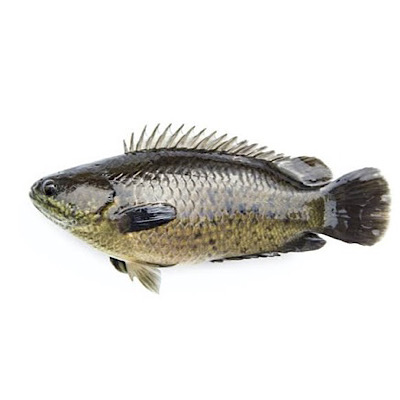 Kayal Karoop Whole cleaned 500g Gross weight / 360-390g net weight after cleaning