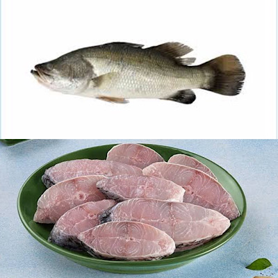 Kalanji / Asian Seabass / Baramundi  - Steak cut