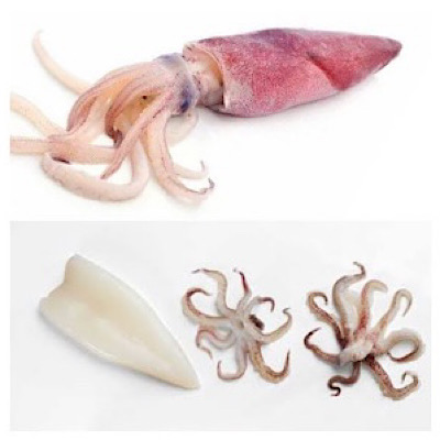Squid Small Whole Cleaned / Koondal 500g Gross weight / 280-320g Net weight after cleaning (head inc