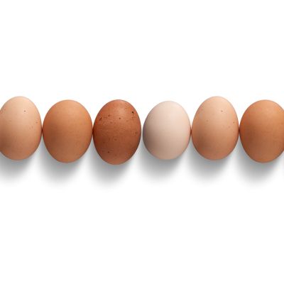 Poultry Eggs