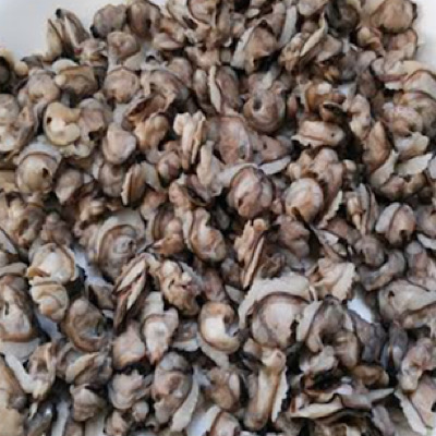 Cleaned Kakka Irachi meat Small (Depuration technolog/ ready to cook)/ Clam Meat 500g Net weigh