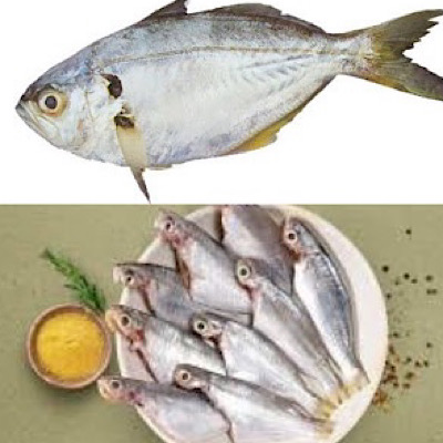 white fish / False Trevelly / Parava Small size Whole cleaned 500g Gross weight / 340-360g Net weigh