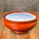 Plain Curd