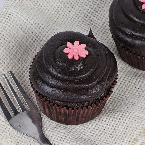 Chocolate Glaze Cupcake