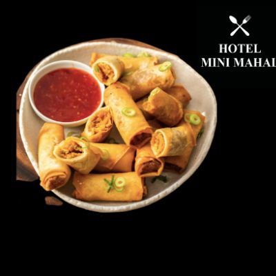 Veg Spring Rolls