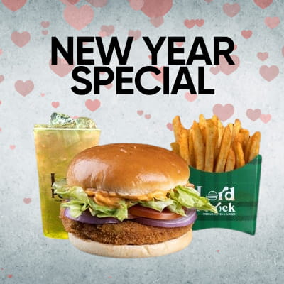 New Year Special 50% OFF new