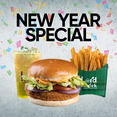 New Year Special 50% OFF