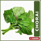 CHORAI SAG 1 GADDI