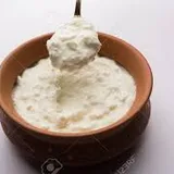 Plain Curd