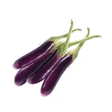 BAINGAN LONG 250 gm