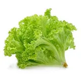 SALAD PATTA 250gm