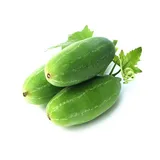 Kundru (lvy gourd ) 250gm