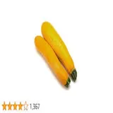 zucchini yellow 500g