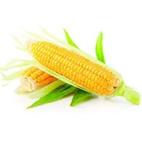 bhutta (corn cob) 500gm