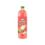PAPER BOAT GUAVA JUICE (250ml)