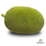 KATHAL BATIYA  1 KG