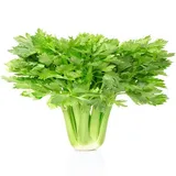 Celery Patta (100grm)