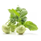 LUMP CABBAGE (GANTH GOBHI) 250 GM