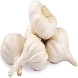 LAHSUN NEW 100 GM