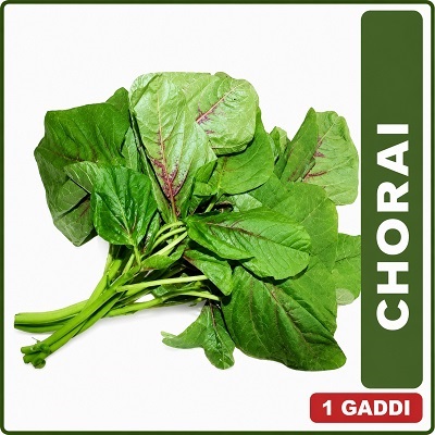 CHORAI SAG 1 GADDI