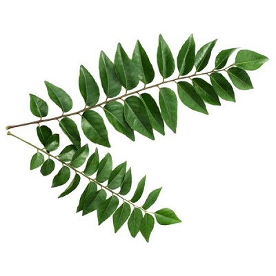 CURRY PATTA 1 BUNCH  (APPROX 100-150G)