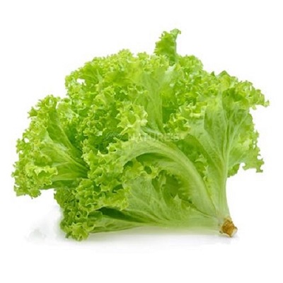 SALAD PATTA 100 GM