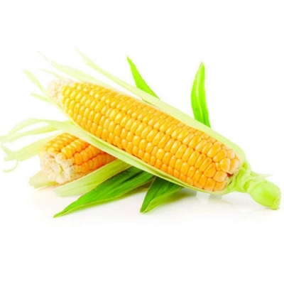 bhutta (corn cob) 500gm