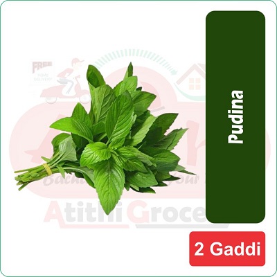 Pudina (2 Gaddi)