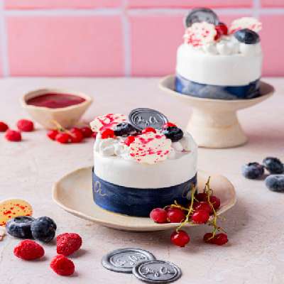 Wild Berry Ice Cream Mini Cake