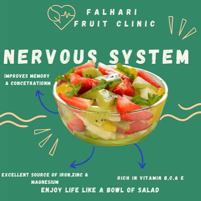 Fruit Bowl For Nervous System