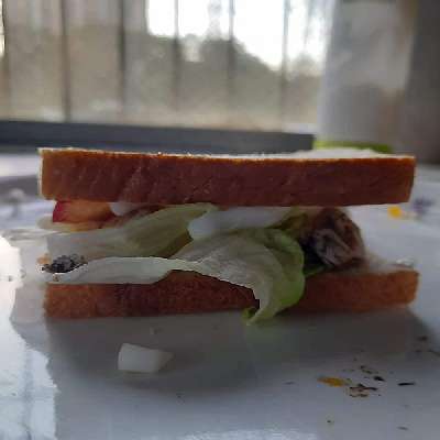 Healthy Veg Sandwich