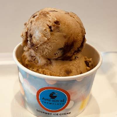 Choco Caramel Fudge Ice Cream