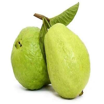 Organic Thai Guava Single
