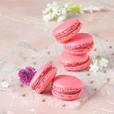 Strawberry Macaron