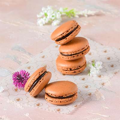 Belgium Chocolate Macaron
