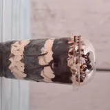 Chocolate Cup Cake