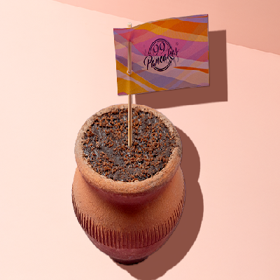 Hot Chocolate Planter (Approx 100gms)
