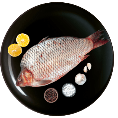 Fish and Sea Food new