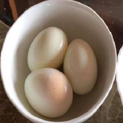 Boiled Egg