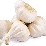 LAHSUN 100G-120G