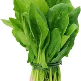 PALAK 600G-650G