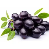 JAMUN KG.