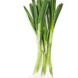 HARA ONION