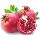 ANAR 420G - 480G