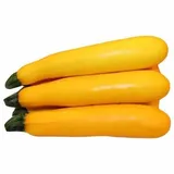 JUGNI VEG.