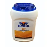 JGD FEVICOL 100G